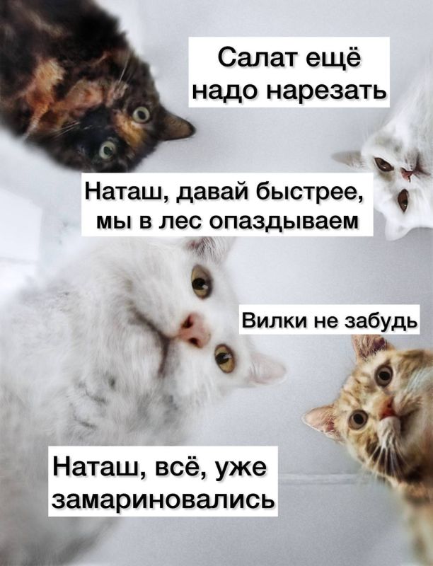 -  . , , 