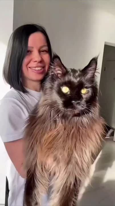 �������� ����-��� �� ������� ���� ������� ��������