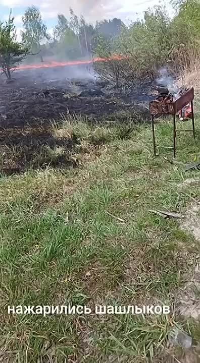 ������ ����� �����. �������� ����