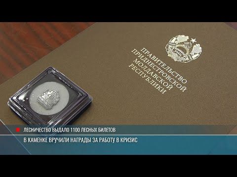 В Каменке вручили государственные награды тем, кто во время газового кризиса трудился без выходных
