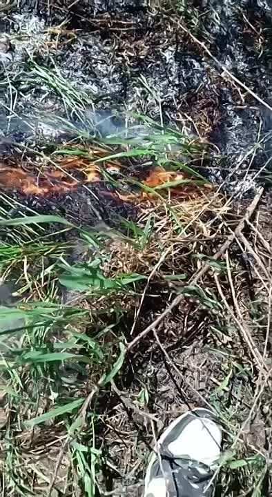 В Каменке недалеко от Днестра горит трава