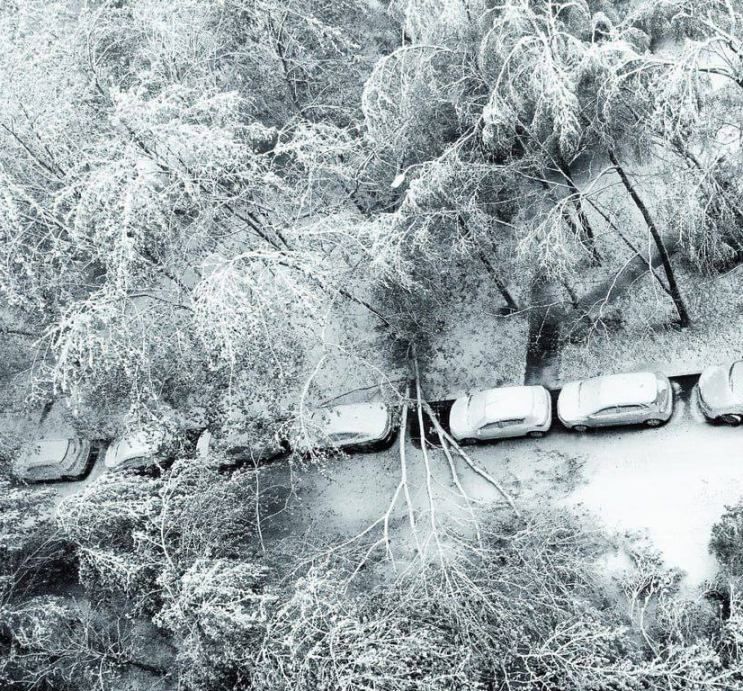 ������� ������� �� ����������� ��������� � ������ �� ���� ������