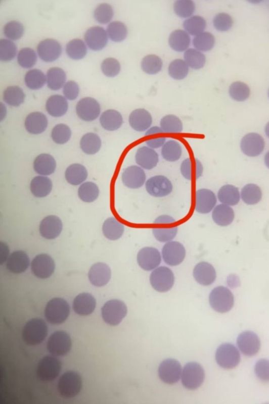 �� ���������� ���������, ��������� ������������� � ����������� ��� ����� ��������