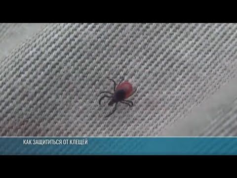 ������� ���������. ���� � ��� � ����� �� ����