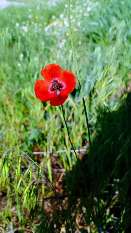 ����� ������ ����� ������ ���