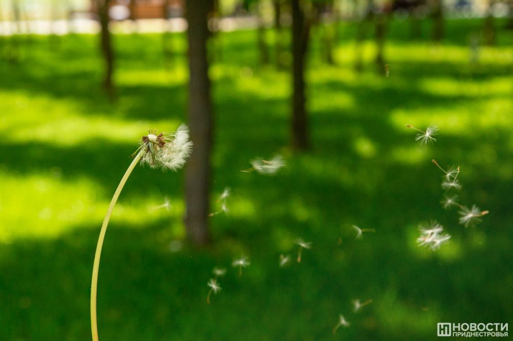 �� +29�� ������� ��������� �� ��������� ���