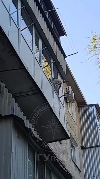 ����� ���� �������. �� ����� � �������������� ������ �� ���������� �� ��������� ��������