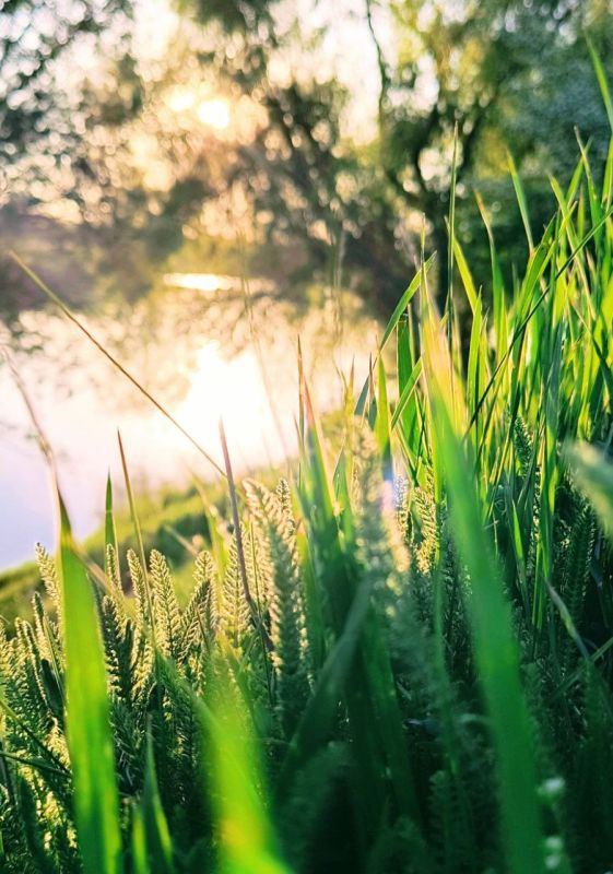 ���� ��������� ������