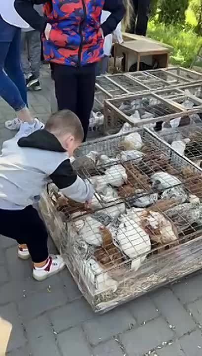 � ����� ������ �������� ��������-������� �������� ��������