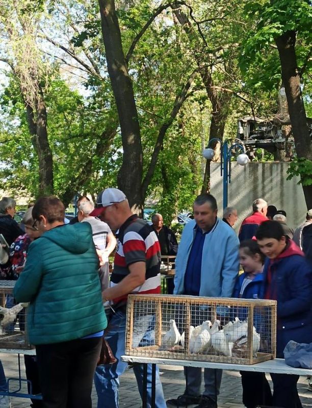 ����� ������ � �������� �������� ��������-������� �������� ���� � ��������