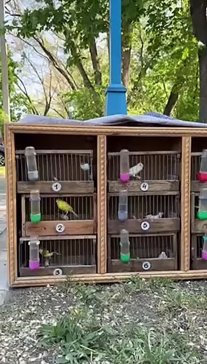 ��������� ����� ���� �� ������� � ��������