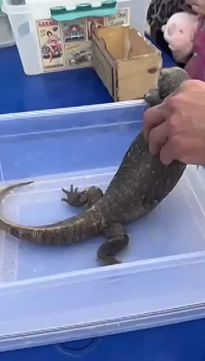 ����� ���� �� ������������ ������� ���� � ������ ��������