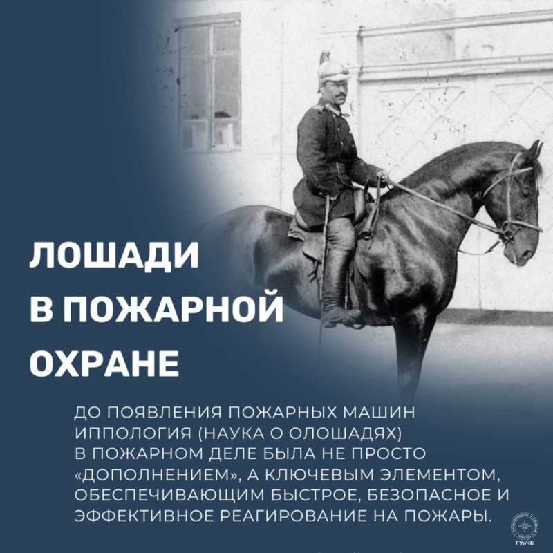 #������������: ������ ����: ��� ������ �������� �������� � ������ � �����