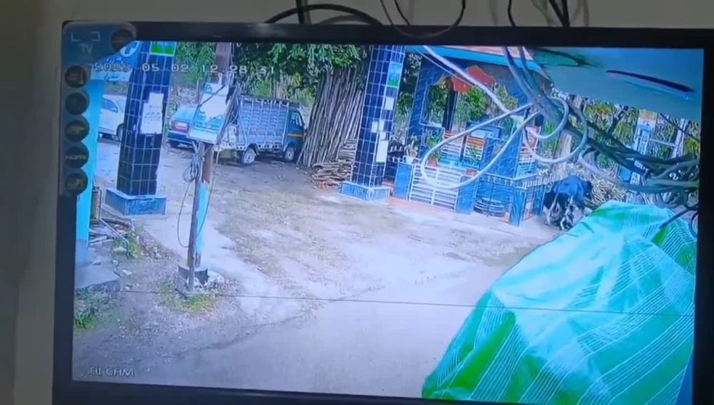 � ��������� ������� ��� �������� �� ������, �������� ���� ��� � �����, ������� ����� �� ������