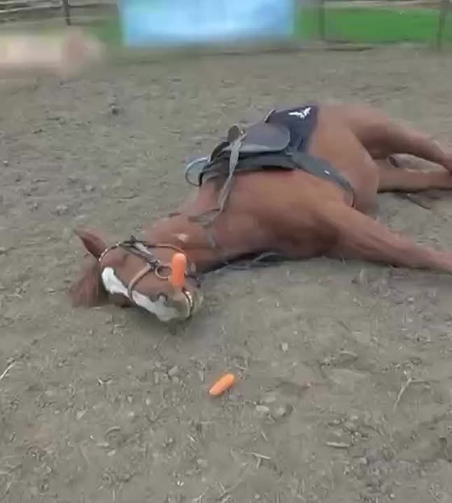 ����������� � ��� ���� �� ������ ��� � �� ��������� ������