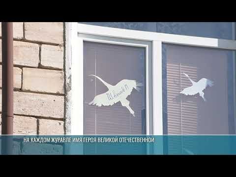 В преддверии Дня Победы в окнах Каменки появляются белые «Журавли памяти»