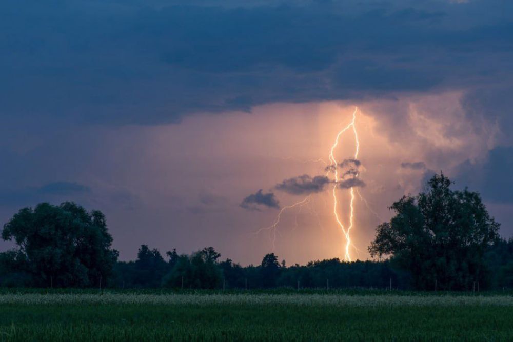  18:00   ,         ,  ,   