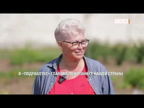 � ����� ������� ��������� ����������� � ������� ���������� �� �������� ����� ������