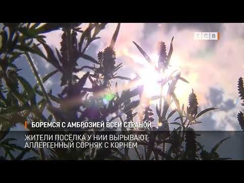 � ����� �� ��������� ������������ ���������, ��� �������� � ���������