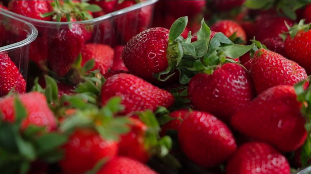 �� ������� ����� ��������� ������� ��������