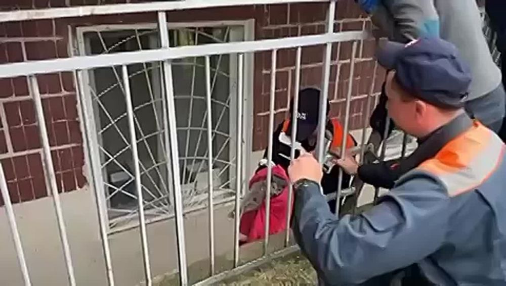 ������� ��������� ��������� ��������� ���������� �����