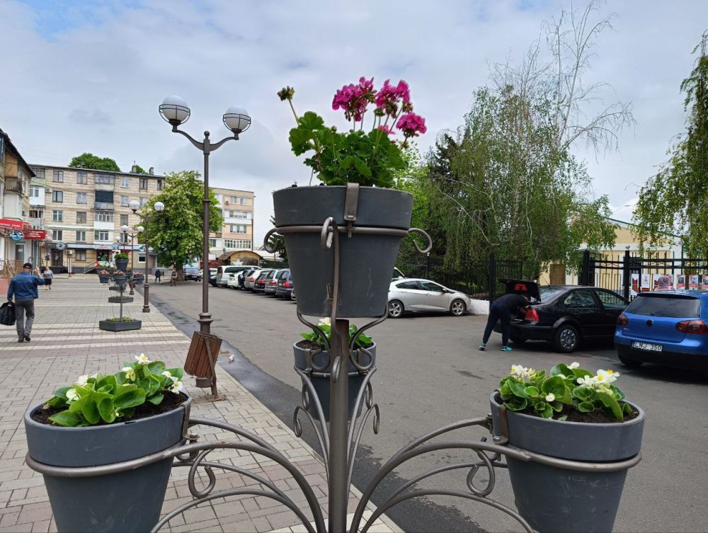 � ��� ������������ ������ ����������