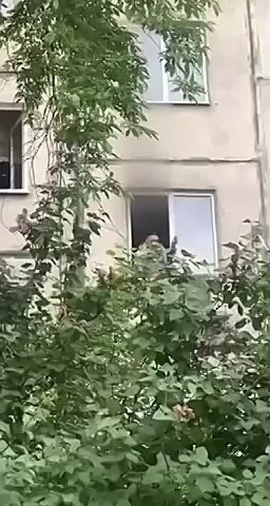 �� ����, ������ ����� ���, ��������� ������� �������, �� � ������ �����