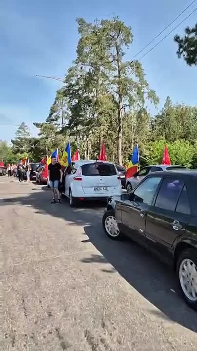 � �������, �������� �� ���������, ������ �������, ��� ����� ���������� ��, ��� ���� 9 ��� � ��� ��������