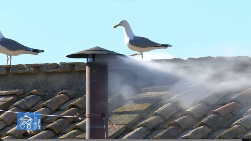 ����� ���� ������� ��� ������: �� ����� ����������� ������� � �������� ����� ����� ���