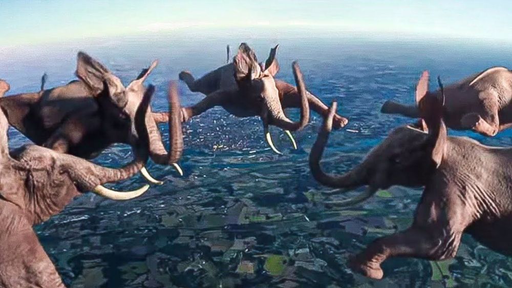 � ���� ������ ����� ������� ���������� ������� ������ ���������