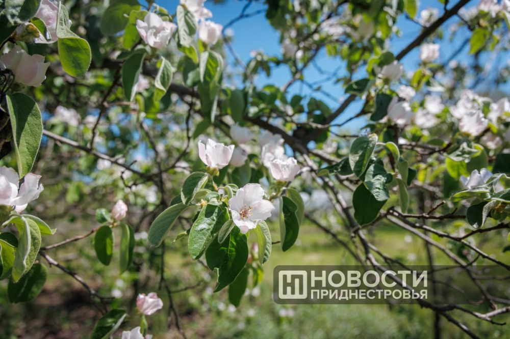 �� +16�� ������� ��������� �� ��������� ������