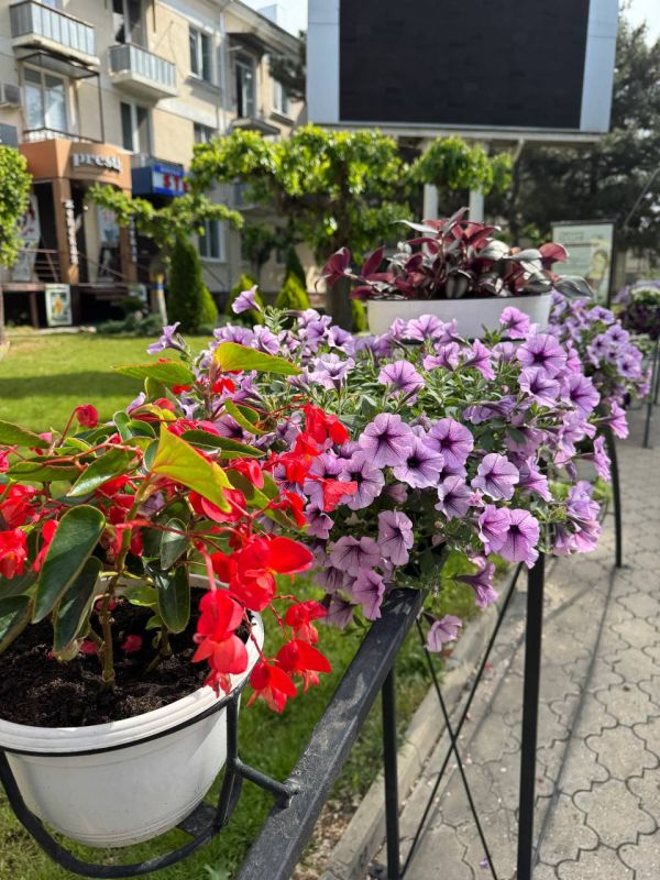 ������� ������ � ������� ������� ��������� �� ����� ���������