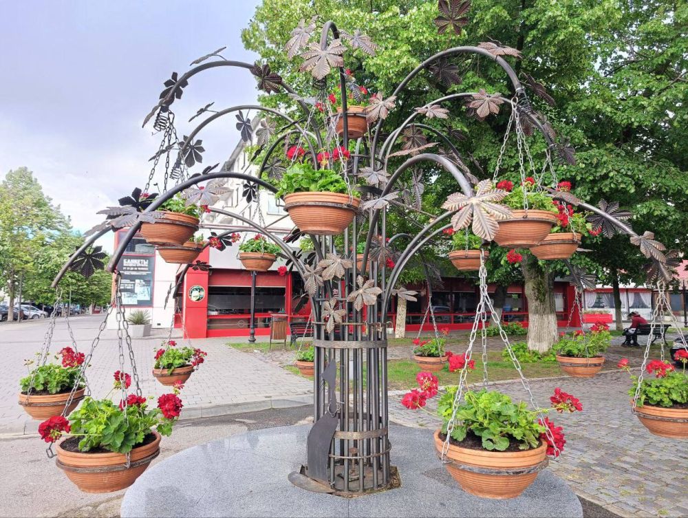 �� ��� ������ ������ ������� �������� ������� �������