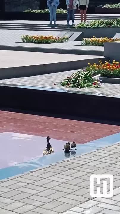   :          ,    
