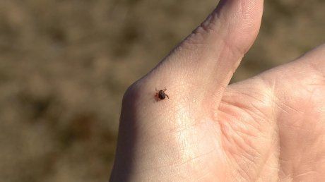 3 ������ ������� ����� ������������� ����� ������ ������ � ��������