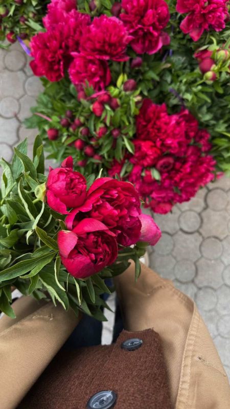 ����� ������ �������. ������� � ���� ������� ����� � ���� � ������������, ������������ �� ������ � ������� �� ����� ������