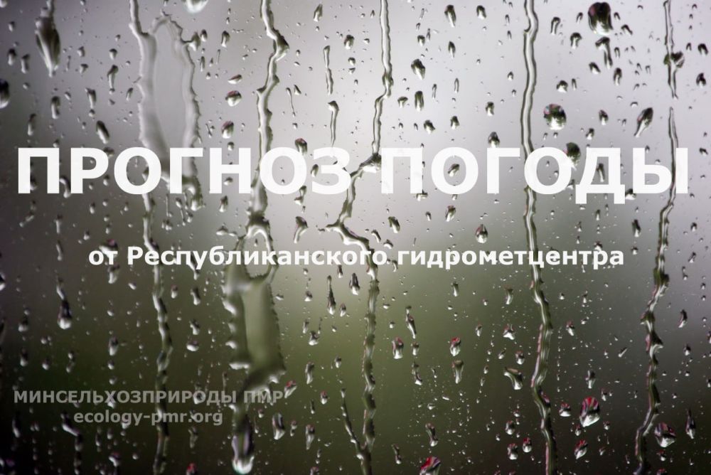 ������� ����!. ������� ������ �� �������, 12 ���