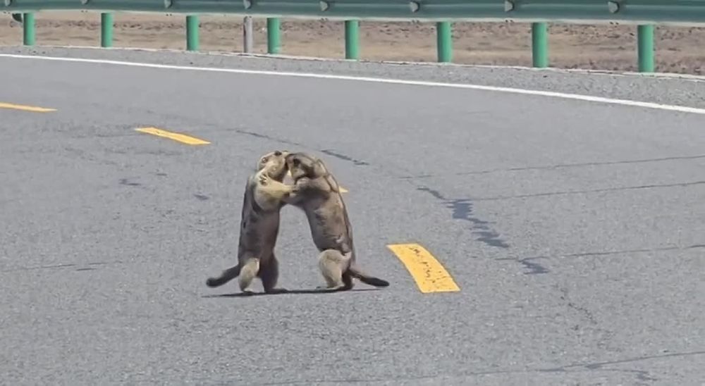 � ����� ����� �������� ��������� ������� ������ � �������������� ������