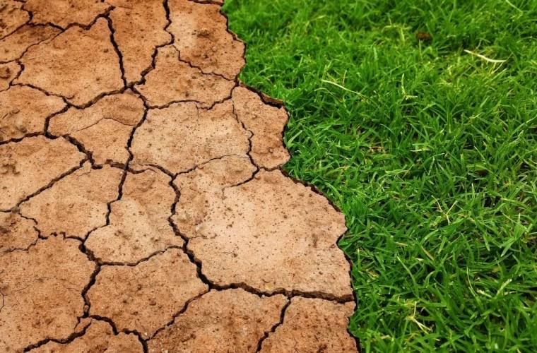 ����� � ������� �����������: ��� ����� ���� ��������� ����, ��� ������ ������� � ��������� ������ ������ �������, ��������� � ������� �������������� �������� ������ �����