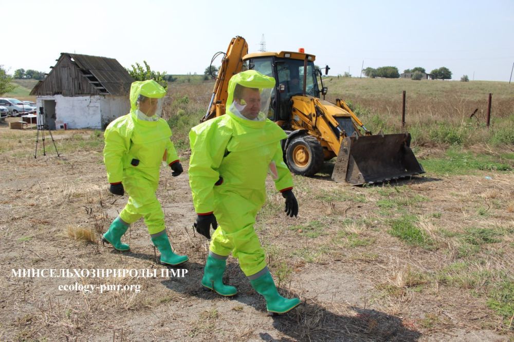 ������ � ��������� ������ ������� ������ �� ���������� ����������� ����������� ����