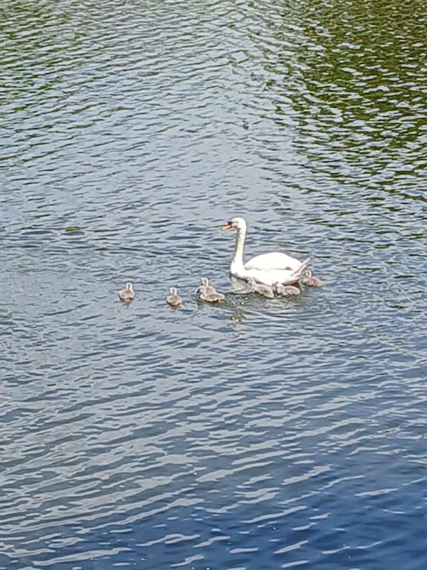 ��������� ���� � �������������� �����