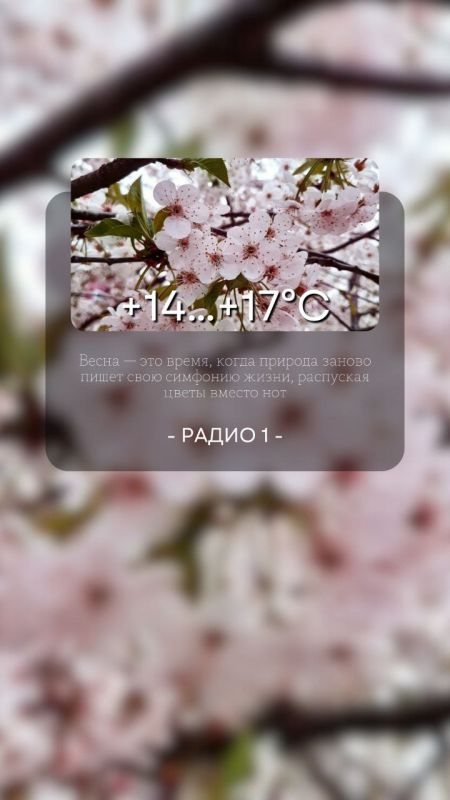 13 ��� ��������� ���������� ����������, ���� ������� ��������������� �����