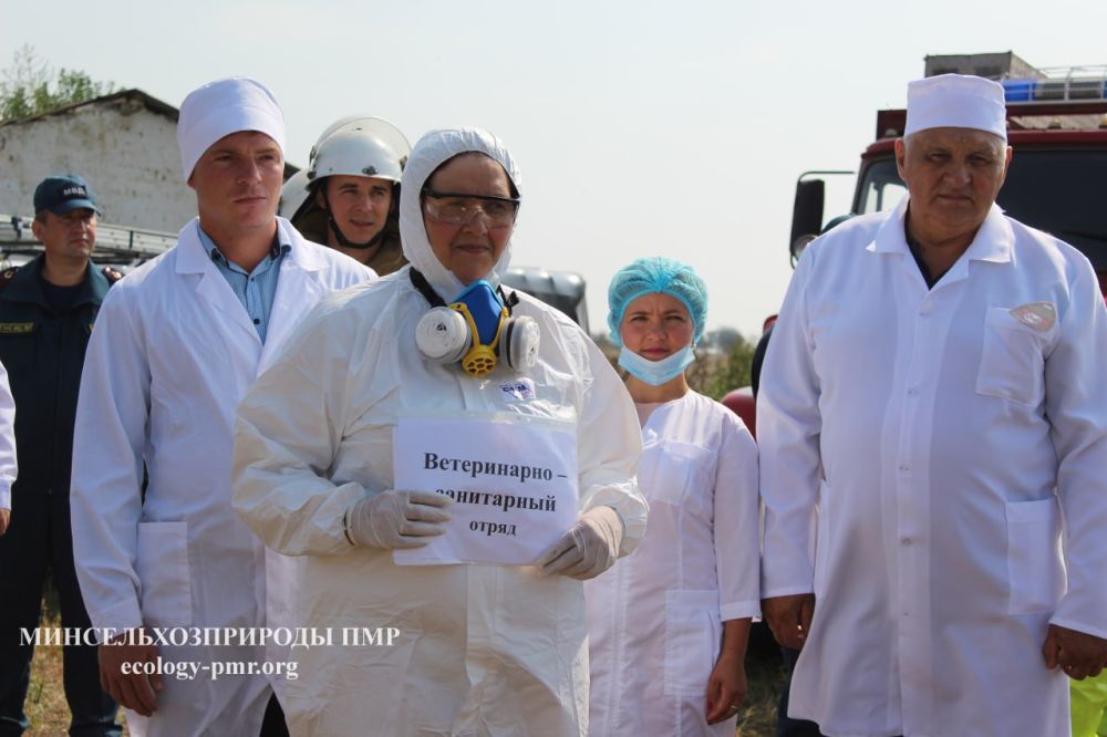 Учения по ликвидации африканской чумы свиней