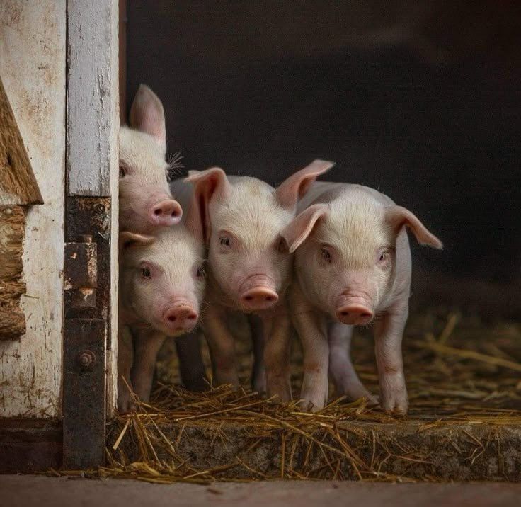 ����� ���� ��� � �������. ����������������� ��� ������� ������ ��������� ������� �������, ��� ������������� ������ ������������� ����������� � � ���� ����� �������, �������, ��������, ������, ������ ������ � �������