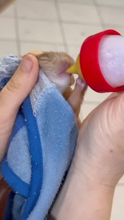 ��������� � ������� ������ ����� �� �����