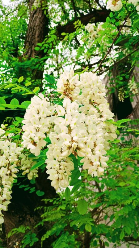 �������� ������� ����� ������