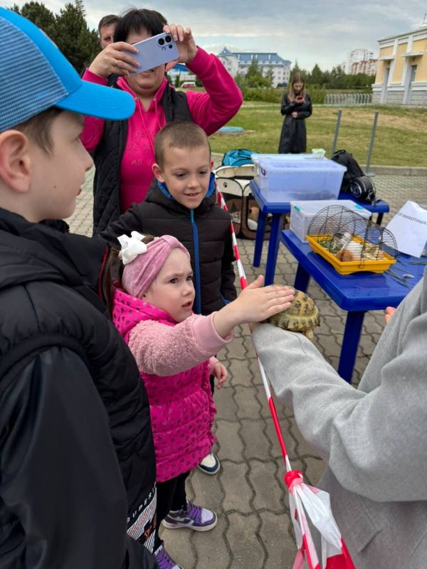 � ������ �� ������������ ���� �������