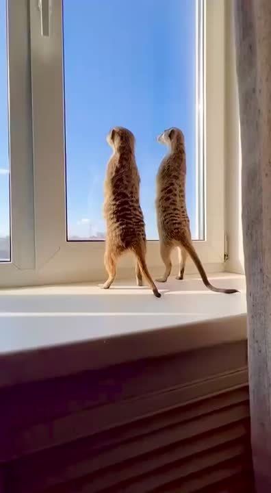 ����� ����� �������� � �� ����� ���� �� �����