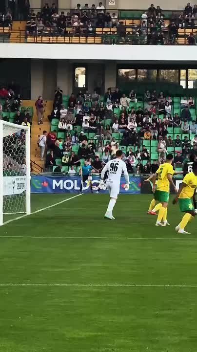 ������� ����������� �����-����� ������������ ����� � �������