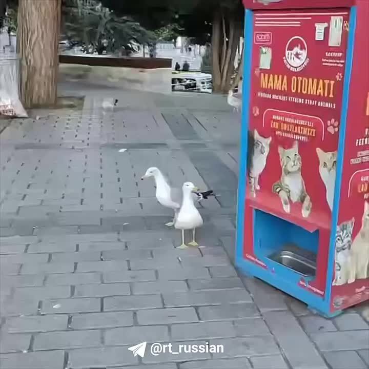 -.           